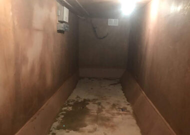 Basement Conversion