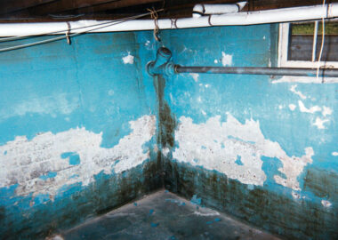 Damp on Walls Basement Tanking Cellar Waterproofing Damp Proofing London South East