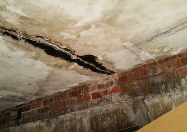 Rising Damp
