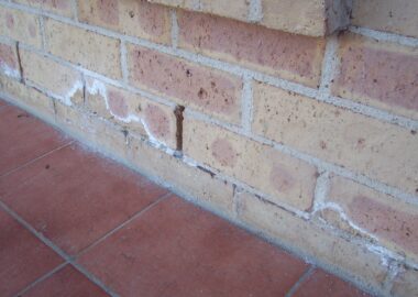 Rising Damp