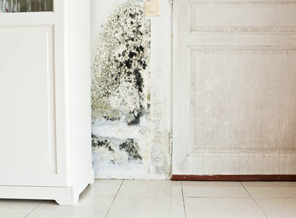 Mould forming in basement without complete waterproofing