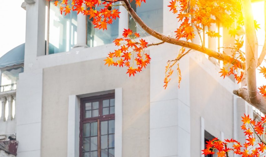 Autumn leaves impacting flooding and basement conversions